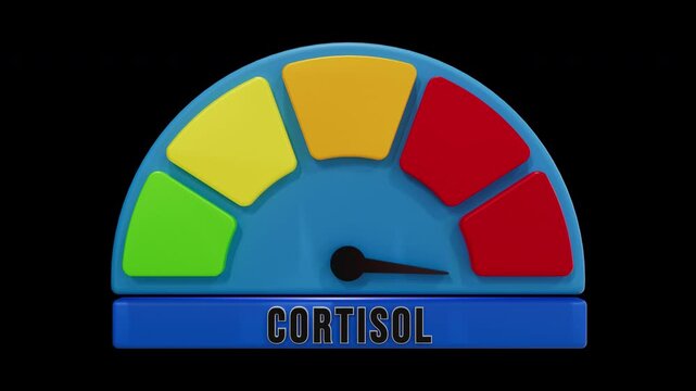 Cortisol Level Gauge: 3D Infographic Scale of Stress Hormone with Alpha Channel