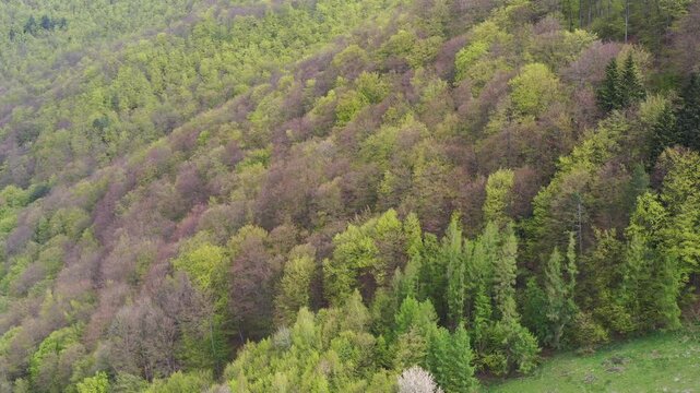 Dolina Popradu, wiosna, widok z powietrza.