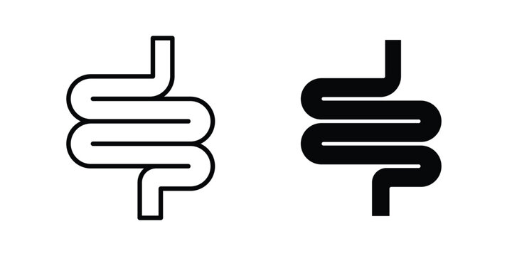 Intestine icon concept. solid and line symbols