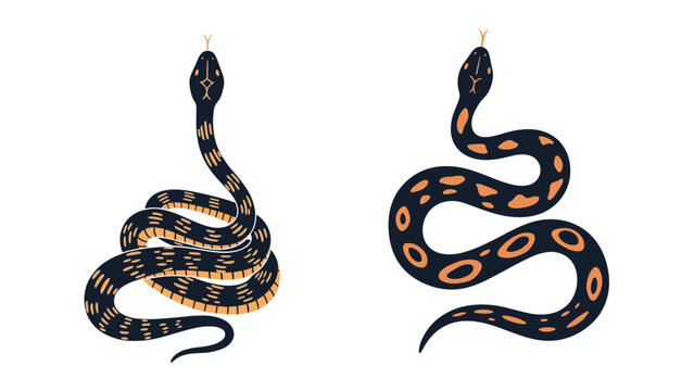 Illustrated set of two exotic snakes depicts one coiled serpent with striped patterns and another slithering with orange circular markings.