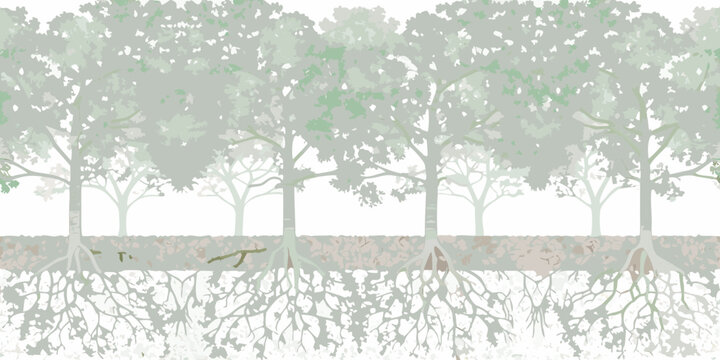 Row of trees in elevation illustrated forest landscape