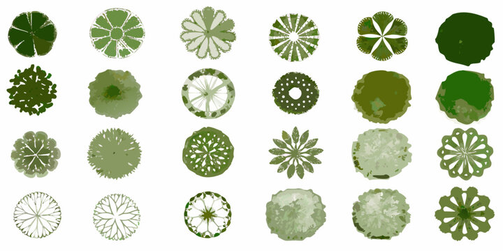 collection of tree top views plan view vector illustration