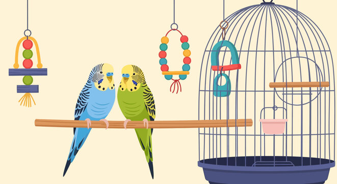 A Vibrant Pair of Parakeets Sitting Together on a Wooden Perch, Depicting Avian Companionship