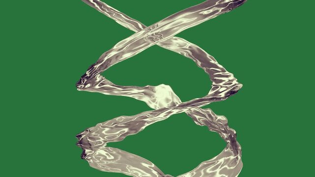 Flying Bird Border Hands Silver Animated Green Screen Chroma Key Video Overlay for Cartoon Wildlife Clips Educational Videos Social Media Posts and Creative Editing Projects