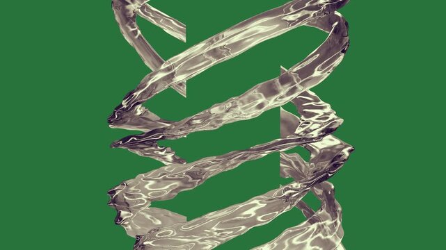 Border Pair Silver Animated Green Screen Chroma Key Video Overlay with Isolated Cutout Style for Editing Compositing Motion Graphics Social Media Ads and Creative Design Projects