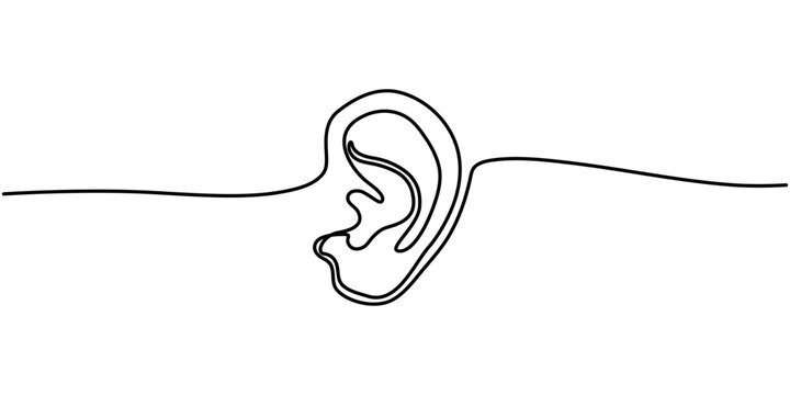 Continuous line drawing of human ear vector anatomy