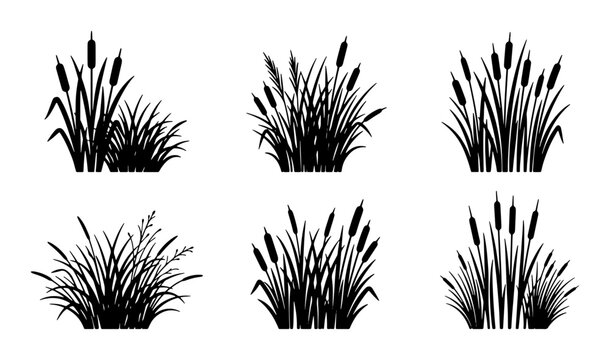 Cattail Plant Silhouettes, Wetland Reeds Vector Icons, Marsh Grass Clumps, Natural Botanical Elements for Eco Design