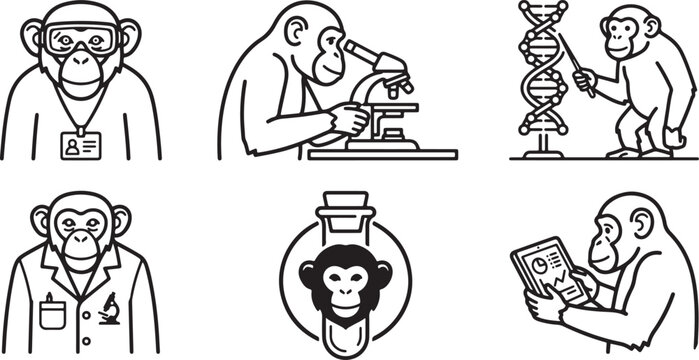 Set of black and white line art icons depicting chimpanzees performing various scientific research tasks in a laboratory setting