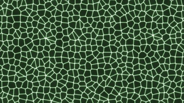 An abstract green network of interconnected nodes and lines resembling a cellular or web structure.