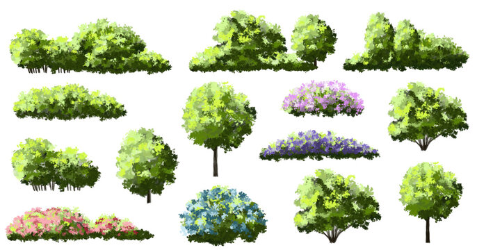  Vector watercolor blooming flower tree or forest side view isolated on white background for landscape and architecture drawing,elements for environment or and garden,green tree for garden section 