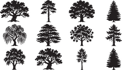Obraz premium Vintage Forest Tree Silhouette Set Rustic Woodland Vector Illustration Collection