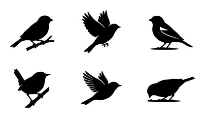 Fototapeta premium Silhouette Bird Icons Set, Vector Graphics Collection of Avian Silhouettes in Flight and Perched, Black and White Ornithological Symbols for Nature and Wildlife Design
