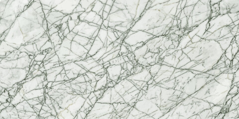 Obraz premium A rough grunge texture of ice and snow covered branches forms a winter pattern on a gray stone backdrop