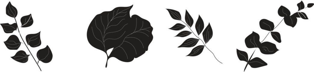 Floral and Botanical Line Art Vector Set: Elegant hand-drawn sketches of lilies, roses, eucalyptus leaves, and willow branches in outline and black silhouette styles. Minimalist line drawings and soli © MDneamul