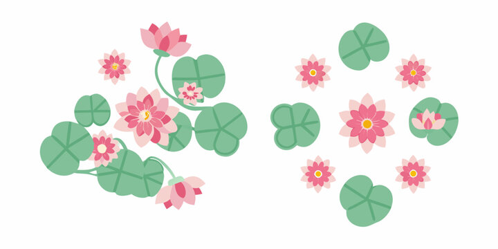 pink lotus flowers and lily pads flat vector illustration