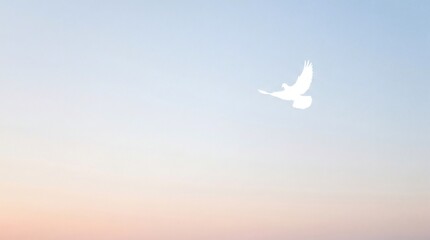 A white dove soars through a serene sky during sunset perfect for Holy Spirit Monday