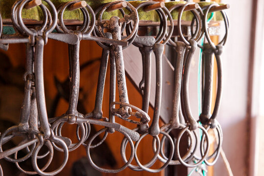 Western horse bits hanging in a tack room