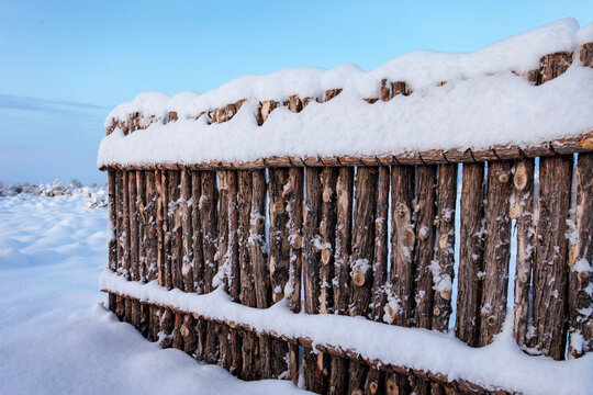 Snow-covered rustic wooden coyote fence in winter