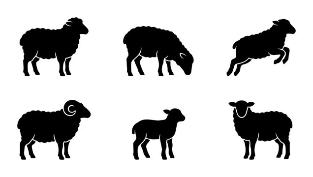 Sheep Silhouettes Vector Set, Farm Animals Collection, Livestock Icons, Rural Life Graphics, Agricultural Mammals