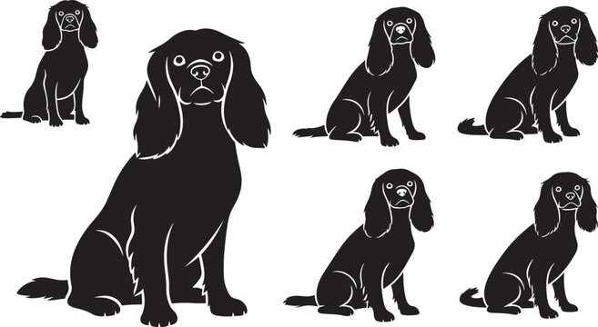 Silhouette cavalier king charles spaniel dogs sitting on checkered background vector illustration.