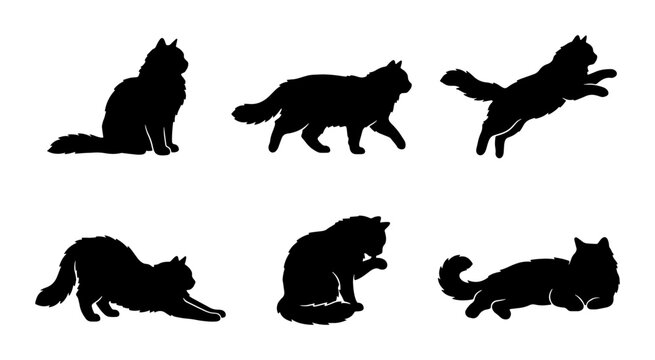 Fluffy Cat Silhouettes Vector Pack, Six Diverse Poses, Black Feline Icons for Pet Lovers, Animal Graphics