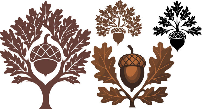 Vintage oak tree and acorn vector set, rustic autumn leaf illustrations, brown and black botanical nut icons for seasonal branding and logos