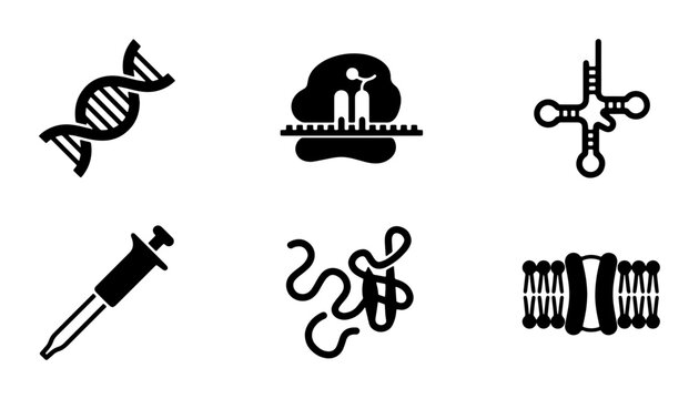 Biotechnology Icons Set: DNA Helix, Ribosome, tRNA, Pipette, Protein Strand, Cell Membrane, Science Vector Graphics for Medical Research and Molecular Biology