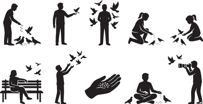 Bird Feeding and Avian Interaction Silhouette Icons.