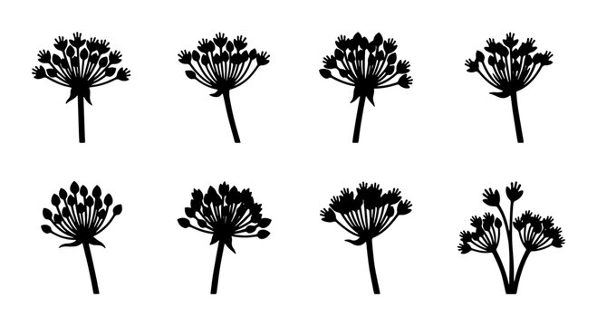 Umbel Flower Silhouettes, Delicate Botanical Vector Icons, Wildflower Seed Head Graphics, Elegant Floral Design Elements