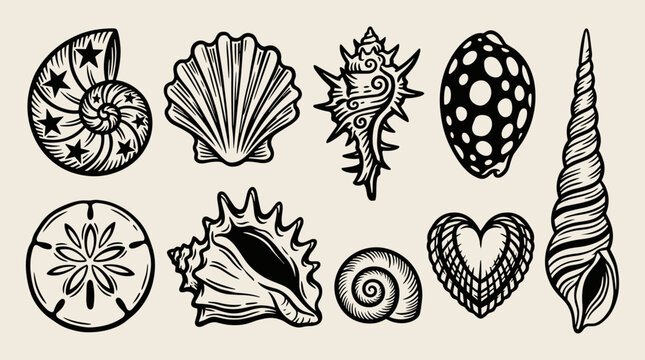 Linocut seashell collection, black ink woodblock print on cream background, marine nature graphic element