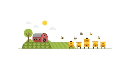Fotobehang Boerderij Cute cartoon farm with beehives, bees, barn, and fields. Rural landscape illustration.  © Buffal