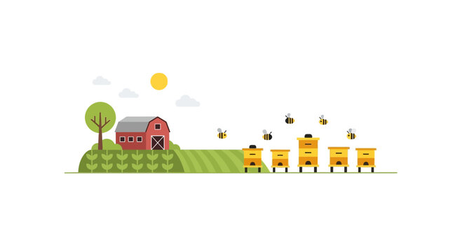 Cute cartoon farm with beehives, bees, barn, and fields. Rural landscape illustration.