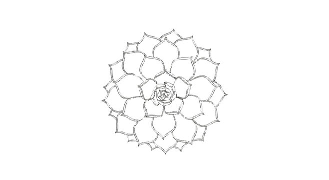Floral rosette silhouette against black background high quality