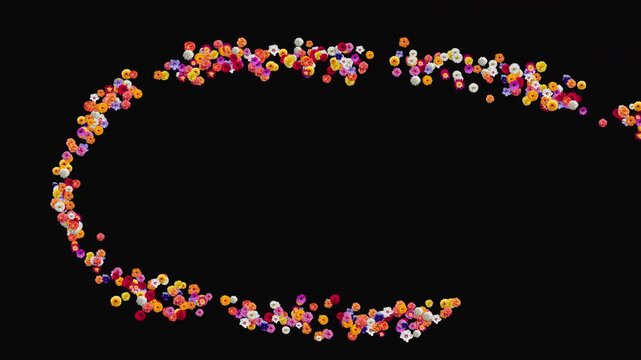 Colorful flowers forming a frame shape and transforming into the word SPRING on transparent background with alpha channel, Floral motion graphics overlay for seasonal themes