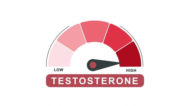 Testosterone Level Gauge Meter Animation Low to High Progress Indicator