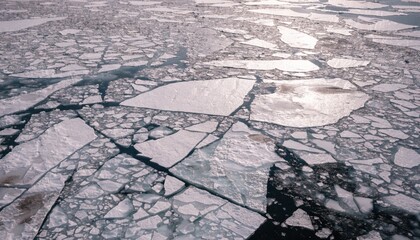 Aerial fly over view of cracked ice floes floating in the sea. Large densely dispersed pieces. Contrast between cracked and solid ice. © pinan