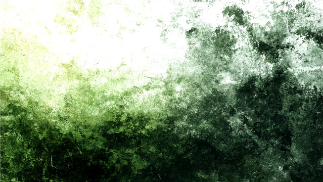 Ethereal canopy illuminated soft light filters through lush verdant leaves, creating mosaic dappled shade forest floor, evoking tranquil natural sanctuary.