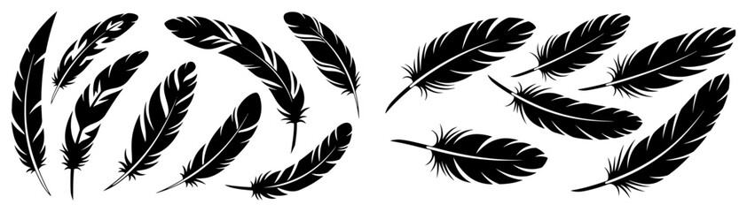 Bird feathers collection showing various plume shapes in detailed black and white silhouette style © Camel