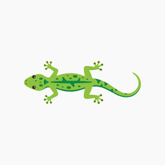 Naklejka premium Green Spotted Gecko
