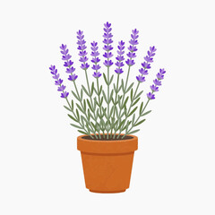 Obraz premium Lavender Plant in Terracotta Pot