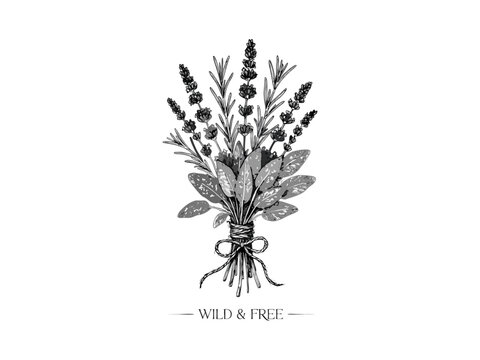 Isolated bunch of lavender flowers and fresh herbs on a white background, featuring a minimalist plant design illustration perfect for a spring nature logo or garden icon