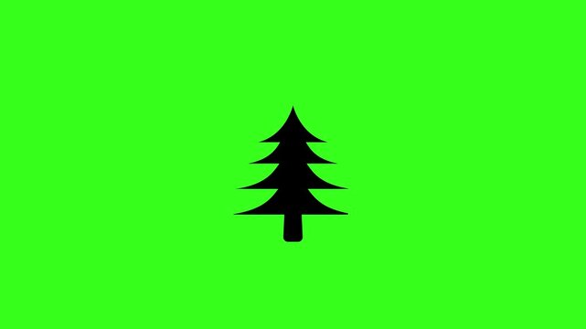Pine tree scaling up with overshoot animation on green screen background