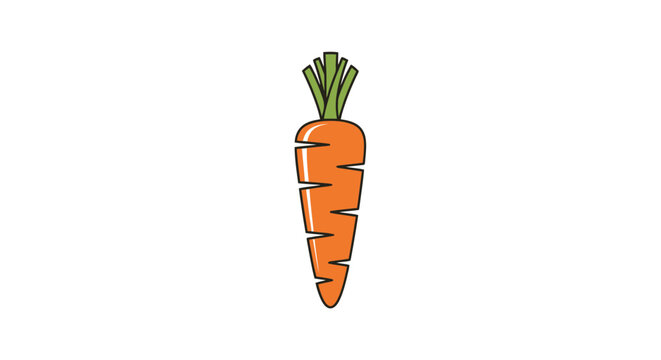 Vibrant orange root vegetable with green leafy top representing freshness in healthy eating and natural food cultivation concepts for culinary or educational use