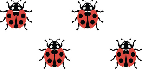 Colorful ladybug insect vector illustration set with red bodies, black spots, nature design and educational biology artwork © Mahabuba