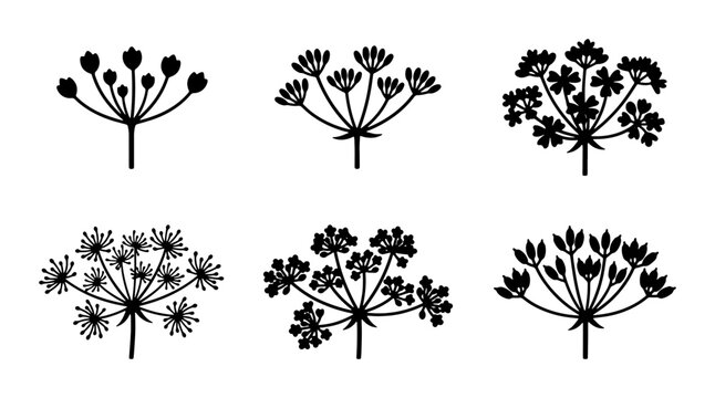 Umbel Flower Icons Set, Dill Plant Vector Graphics, Botanical Illustration Elements, Simple Floral Design