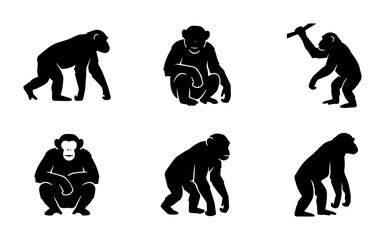 Chimpanzee Silhouettes, Primate Poses Collection, Ape Icon Set, Wildlife Vector Graphics © Rajib