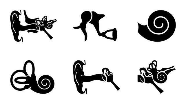 Human Ear Anatomy Vector Icons: Auditory System Structures, Vestibular System, Cochlea, Inner Ear Diagrams