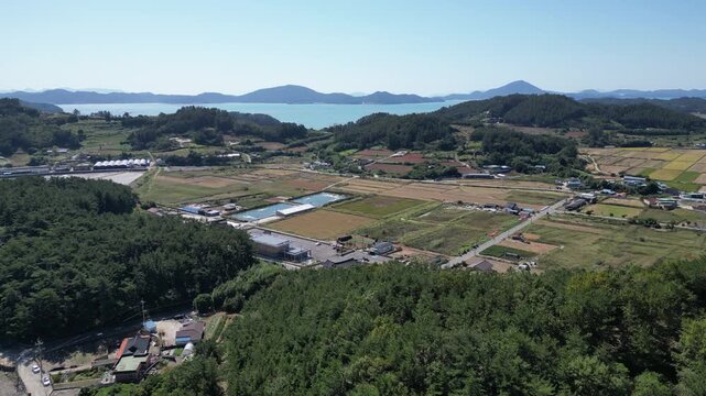 한국 대한민국 농업 농사 벼농사 추수 수확 콤바인 수확기 벼수확 쌀 수매 농부 농촌 시골 전원 농토 논 벼 농지 토지 가을걷이 들판 곡식 알곡 식량 자급자족 농기계 작업 생산 생산지 평야 황금들판 재배 경작지 산업 노동 현장 삶의터전 농가 영농