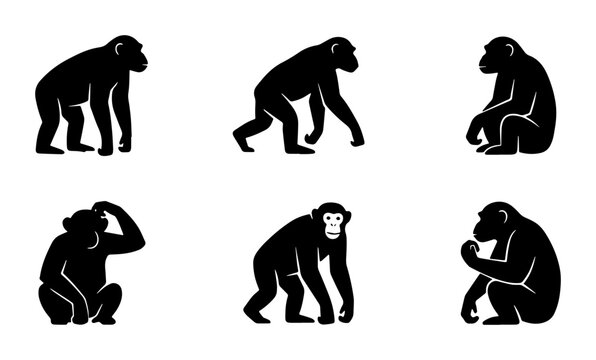 Chimpanzee Silhouettes Collection: Primate Poses, Wildlife Icons, Animal Graphics, Vector Art