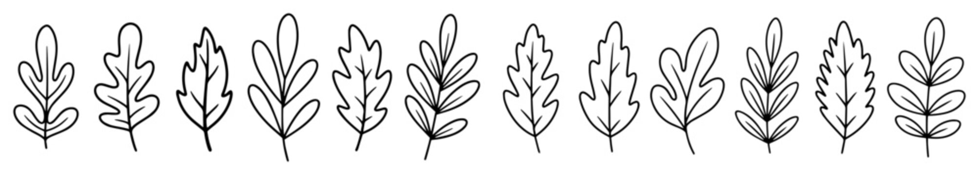 seamless autumn leaf doodle border vector shape black